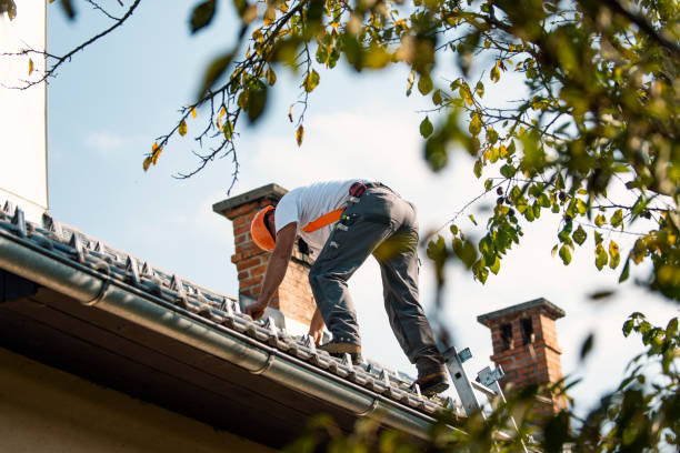 Best Roof Inspection Near Me  in Deerfield, MI