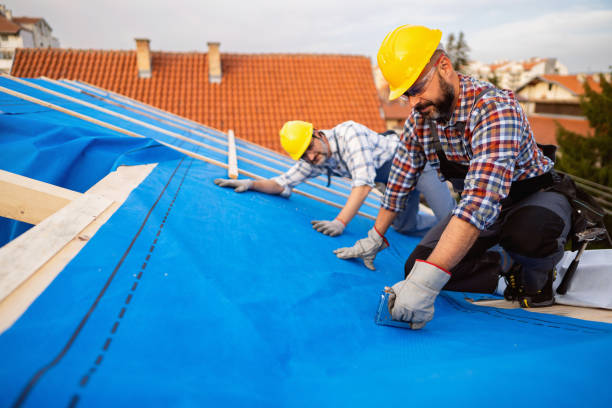 Best Roof Leak Repair  in Deerfield, MI
