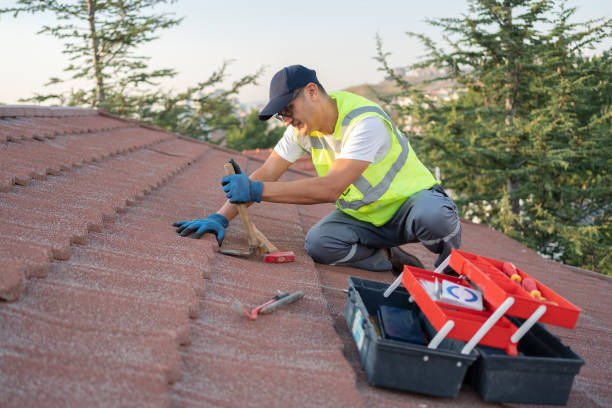 Best New Roof Installation  in Deerfield, MI